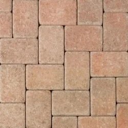 Cream Brown pavers
