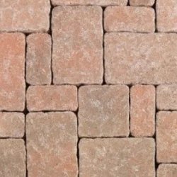 Cream Terracotta Brown pavers